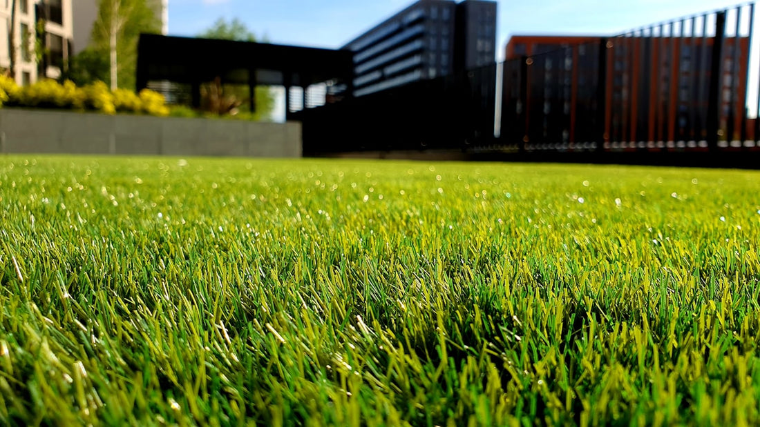 Lush green lawn in a residential Atlanta neighborhood